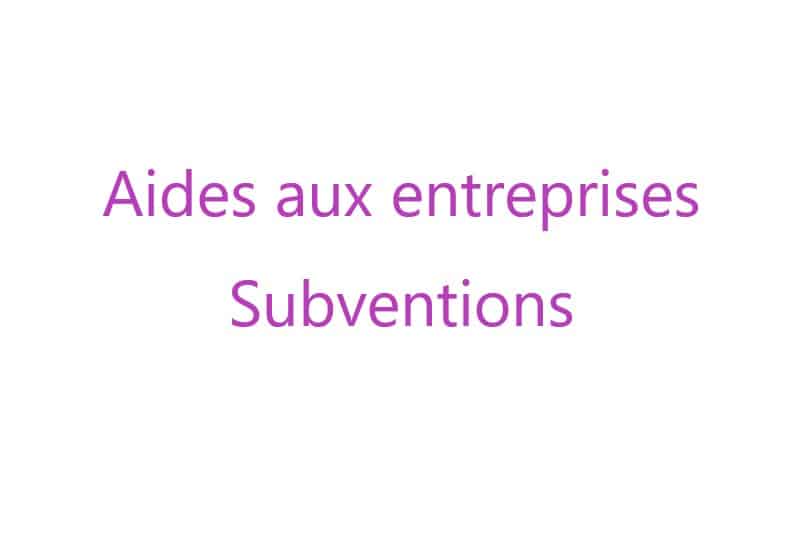 IMG - Aides aux entreprises et subventions